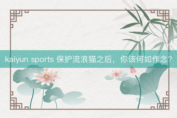 kaiyun sports 保护流浪猫之后，你该何如作念?