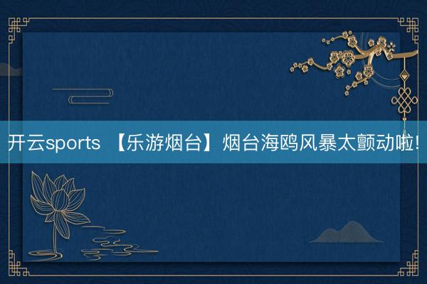 开云sports 【乐游烟台】烟台海鸥风暴太颤动啦!