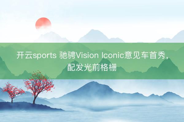 开云sports 驰骋Vision Iconic意见车首秀，配发光前格栅