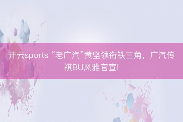 开云sports “老广汽”黄坚领衔铁三角，广汽传祺BU风雅官宣!