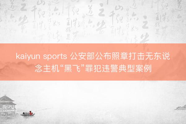 kaiyun sports 公安部公布照章打击无东说念主机“黑飞”罪犯违警典型案例
