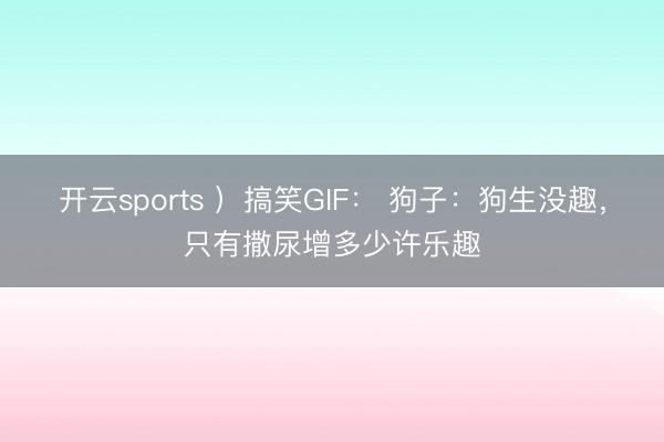 开云sports ）搞笑GIF： 狗子：狗生没趣，只有撒尿增多少许乐趣