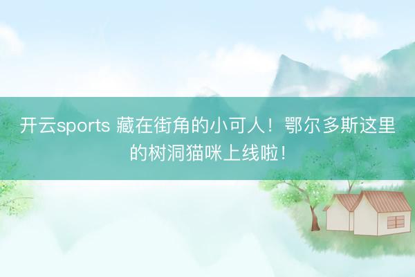 开云sports 藏在街角的小可人!鄂尔多斯这里的树洞猫咪上线啦!