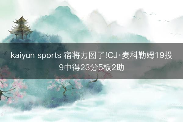 kaiyun sports 宿将力图了!CJ·麦科勒姆19投9中得23分5板2助