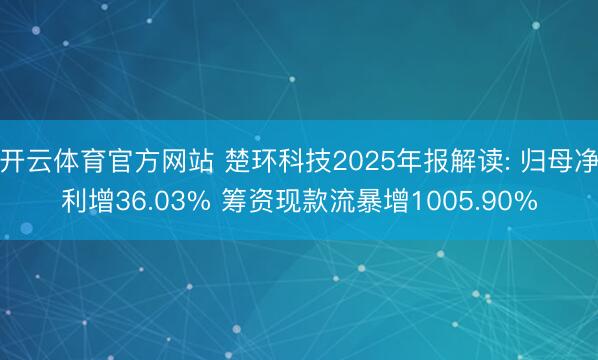 开云体育官方网站 楚环科技2025年报解读: 归母净利增36.03% 筹资现款流暴增1005.90%